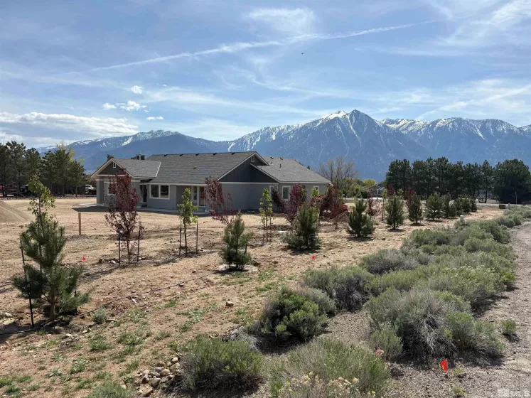 781 Rubio, Gardnerville, Nevada 89460, 4 Bedrooms Bedrooms, ,3 BathroomsBathrooms,Residential,Residential,Rubio,240014405