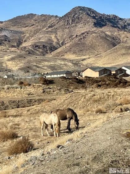 706 Dornoch, Dayton, Nevada 89403, 3 Bedrooms Bedrooms, ,2 BathroomsBathrooms,Residential,Residential,Dornoch,240015445
