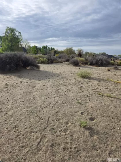 1430 Golden Park, Fallon, Nevada 89406, ,Land,Residential,Golden Park,250005572