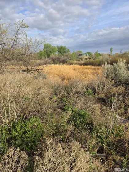 1430 Golden Park, Fallon, Nevada 89406, ,Land,Residential,Golden Park,250005572