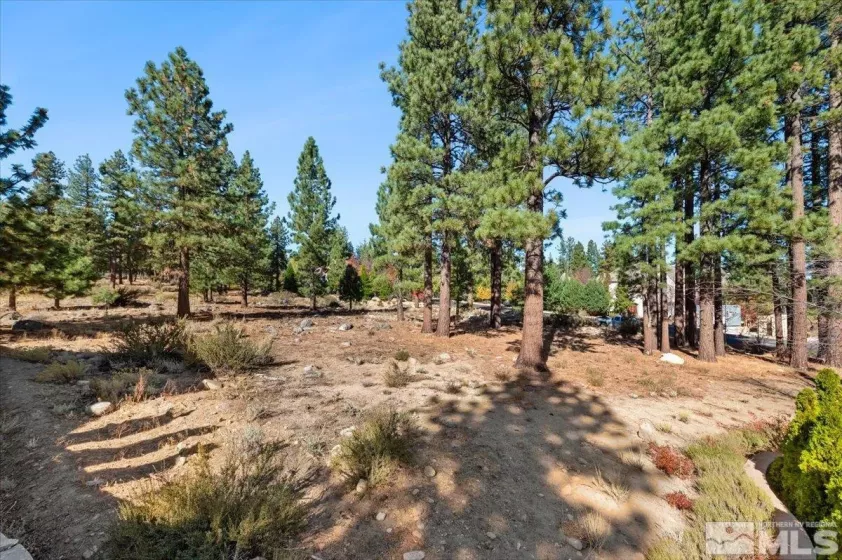 20500 Margaux, Reno, Nevada 89511, ,Land,Residential,Margaux,250005051