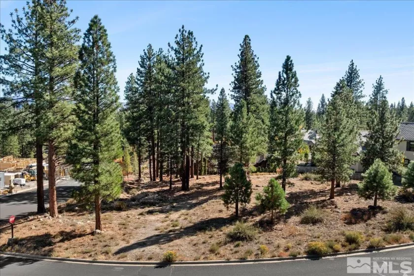 20500 Margaux, Reno, Nevada 89511, ,Land,Residential,Margaux,250005051