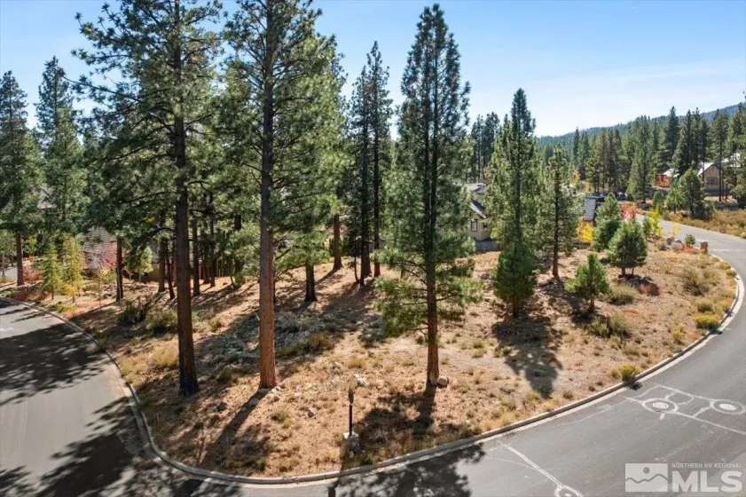 20500 Margaux, Reno, Nevada 89511, ,Land,Residential,Margaux,250005051