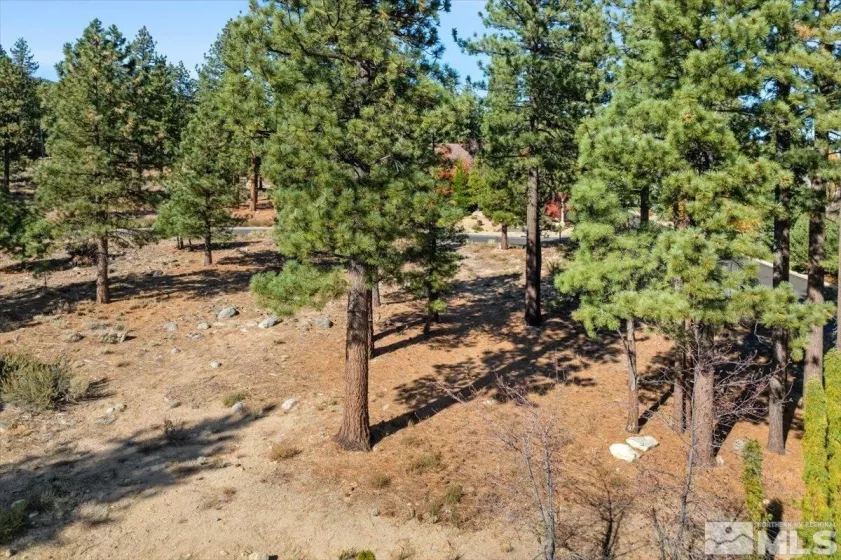 20500 Margaux, Reno, Nevada 89511, ,Land,Residential,Margaux,250005051