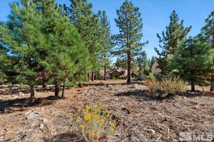 20500 Margaux, Reno, Nevada 89511, ,Land,Residential,Margaux,250005051