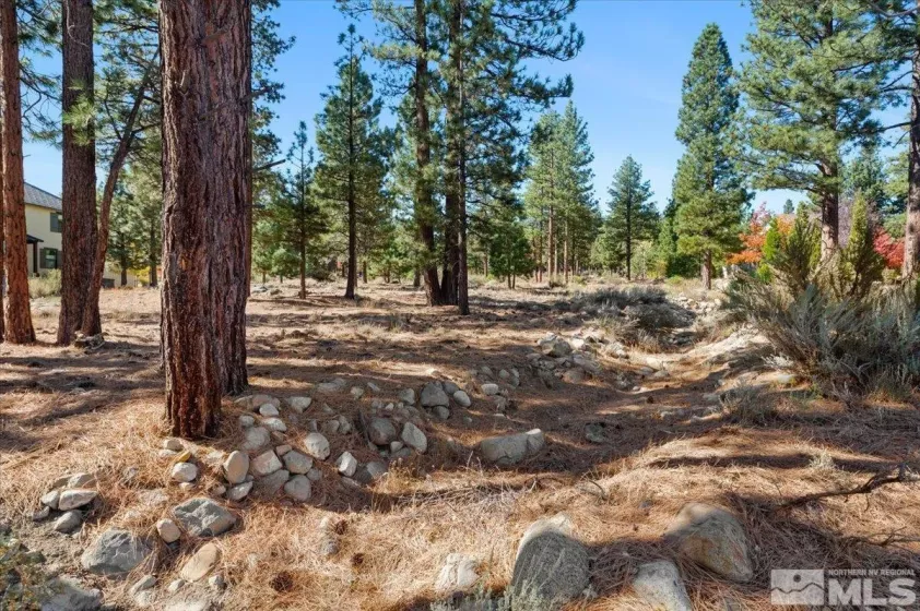 20500 Margaux, Reno, Nevada 89511, ,Land,Residential,Margaux,250005051