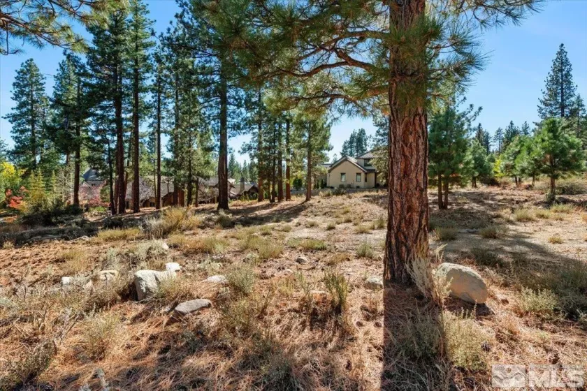 20500 Margaux, Reno, Nevada 89511, ,Land,Residential,Margaux,250005051