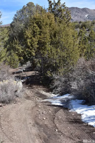 TBD Pine Nut, Gardnerville, Nevada 89410, ,Land,Residential,Pine Nut,220009824