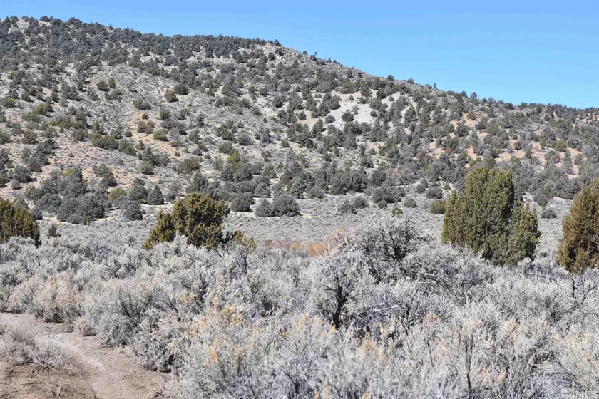 TBD Pine Nut, Gardnerville, Nevada 89410, ,Land,Residential,Pine Nut,220009824