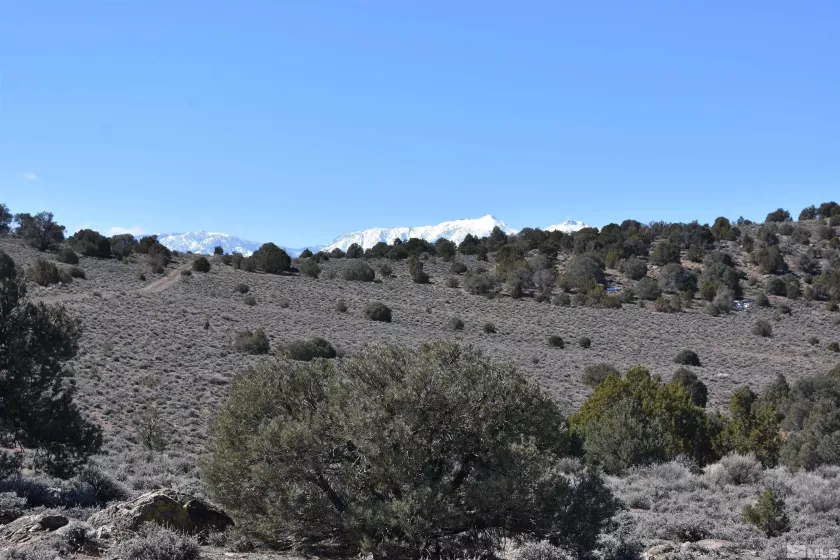 TBD Pine Nut, Gardnerville, Nevada 89410, ,Land,Residential,Pine Nut,220009824