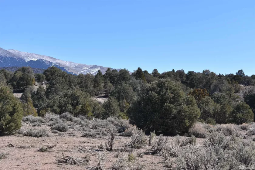 TBD Pine Nut, Gardnerville, Nevada 89410, ,Land,Residential,Pine Nut,220009824