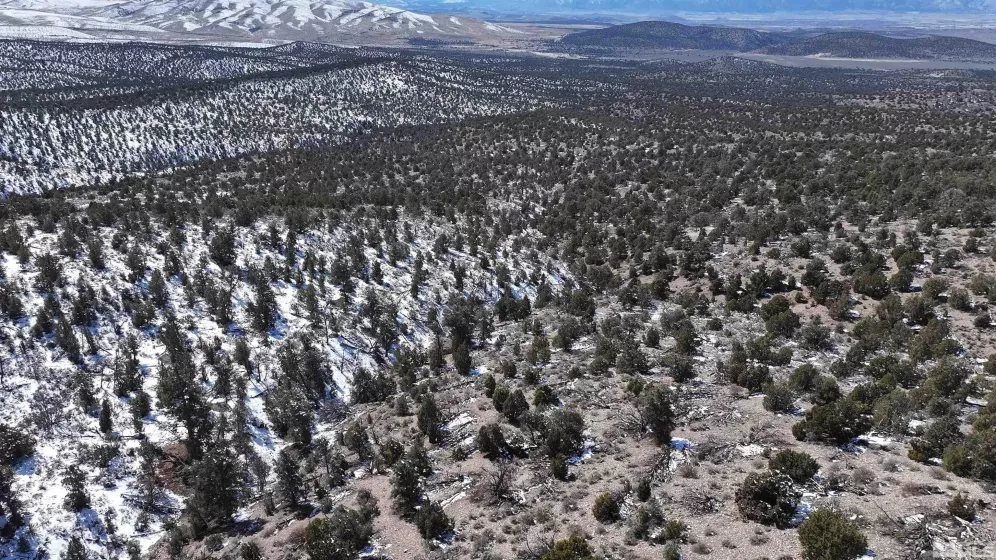 TBD Pine Nut, Gardnerville, Nevada 89410, ,Land,Residential,Pine Nut,220009824