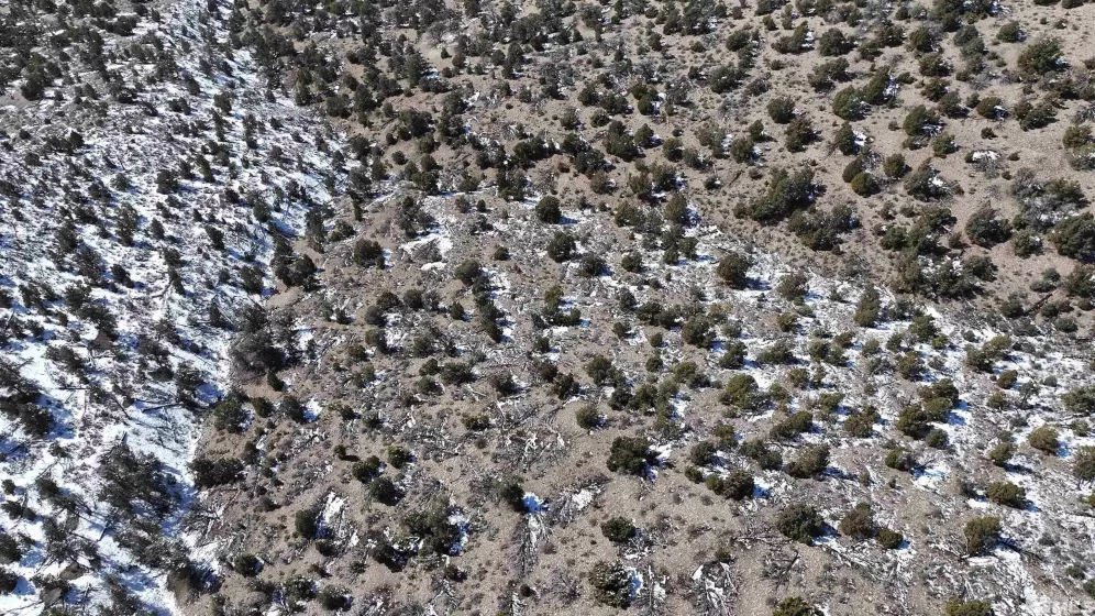 TBD Pine Nut (53), Gardnerville, Nevada 89410, ,Land,Residential,Pine Nut (53),220009814