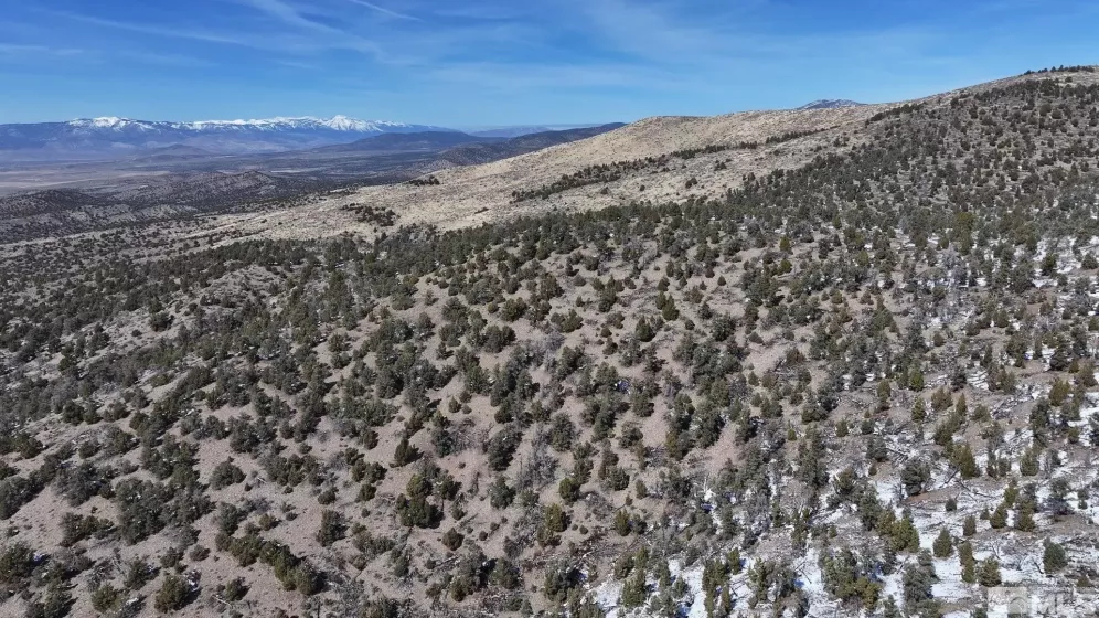 TBD Pine Nut (53), Gardnerville, Nevada 89410, ,Land,Residential,Pine Nut (53),220009814