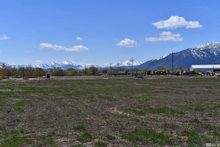 1786 Monte, Minden, Nevada 89423, ,Land,Residential,Monte,230005232