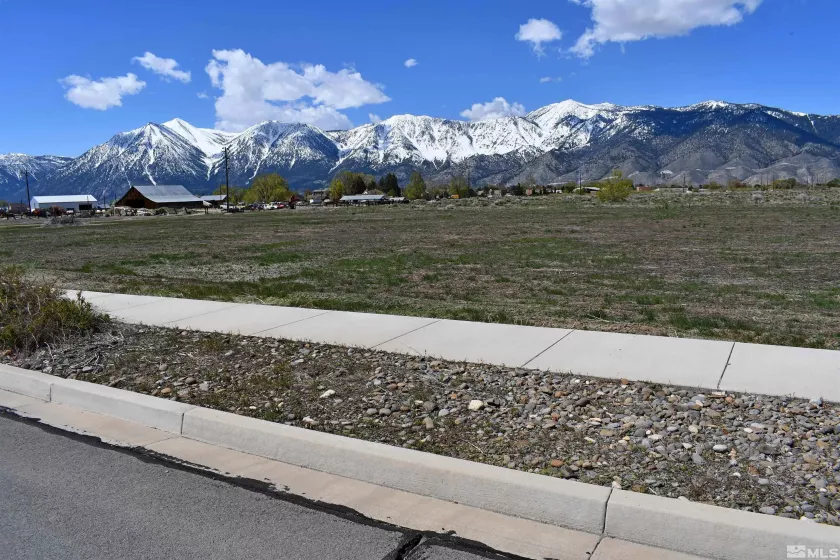 1786 Monte, Minden, Nevada 89423, ,Land,Residential,Monte,230005232
