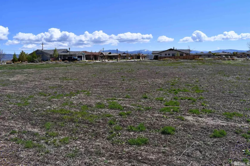 1786 Monte, Minden, Nevada 89423, ,Land,Residential,Monte,230005232