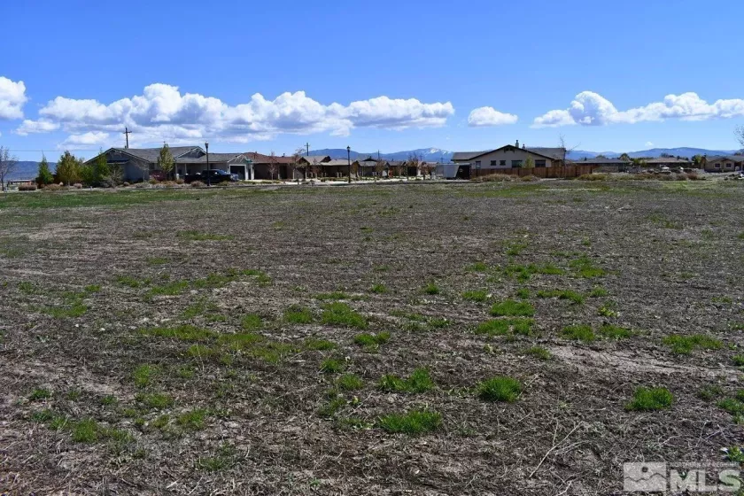 1786 Monte, Minden, Nevada 89423, ,Land,Residential,Monte,230005232