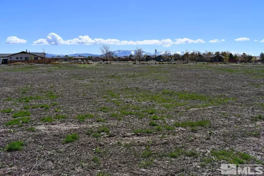 1786 Monte, Minden, Nevada 89423, ,Land,Residential,Monte,230005232