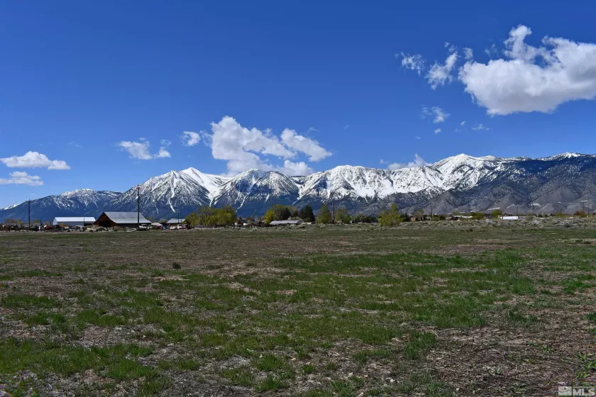 1786 Monte, Minden, Nevada 89423, ,Land,Residential,Monte,230005232