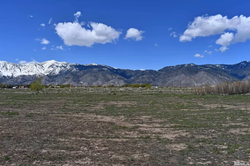1786 Monte, Minden, Nevada 89423, ,Land,Residential,Monte,230005232