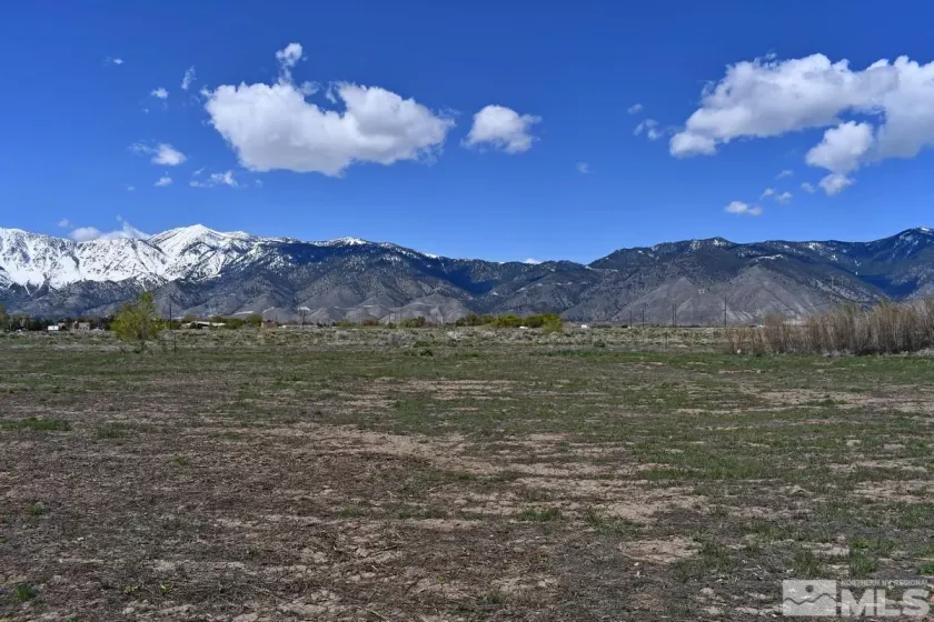 1786 Monte, Minden, Nevada 89423, ,Land,Residential,Monte,230005232