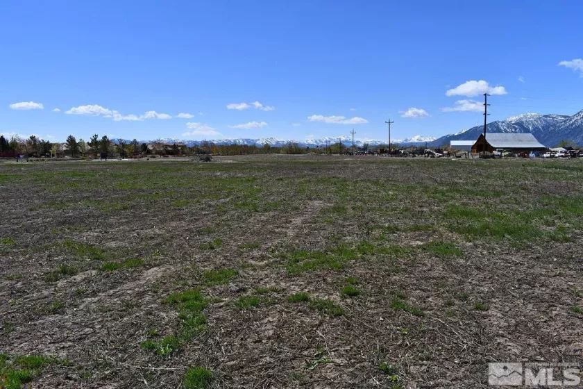 1786 Monte, Minden, Nevada 89423, ,Land,Residential,Monte,230005232