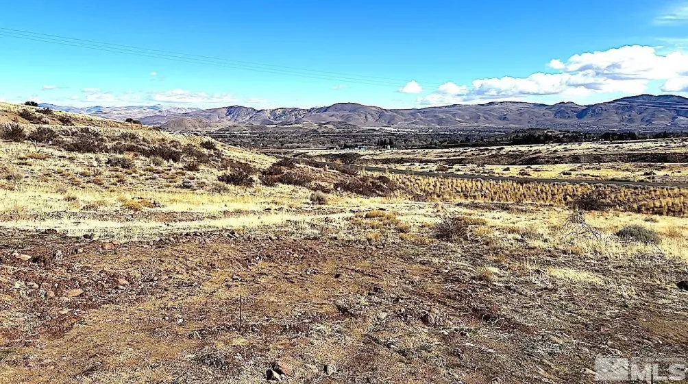 790 Schellbourne, Reno, Nevada 89511, ,Land,Residential,Schellbourne,250005429