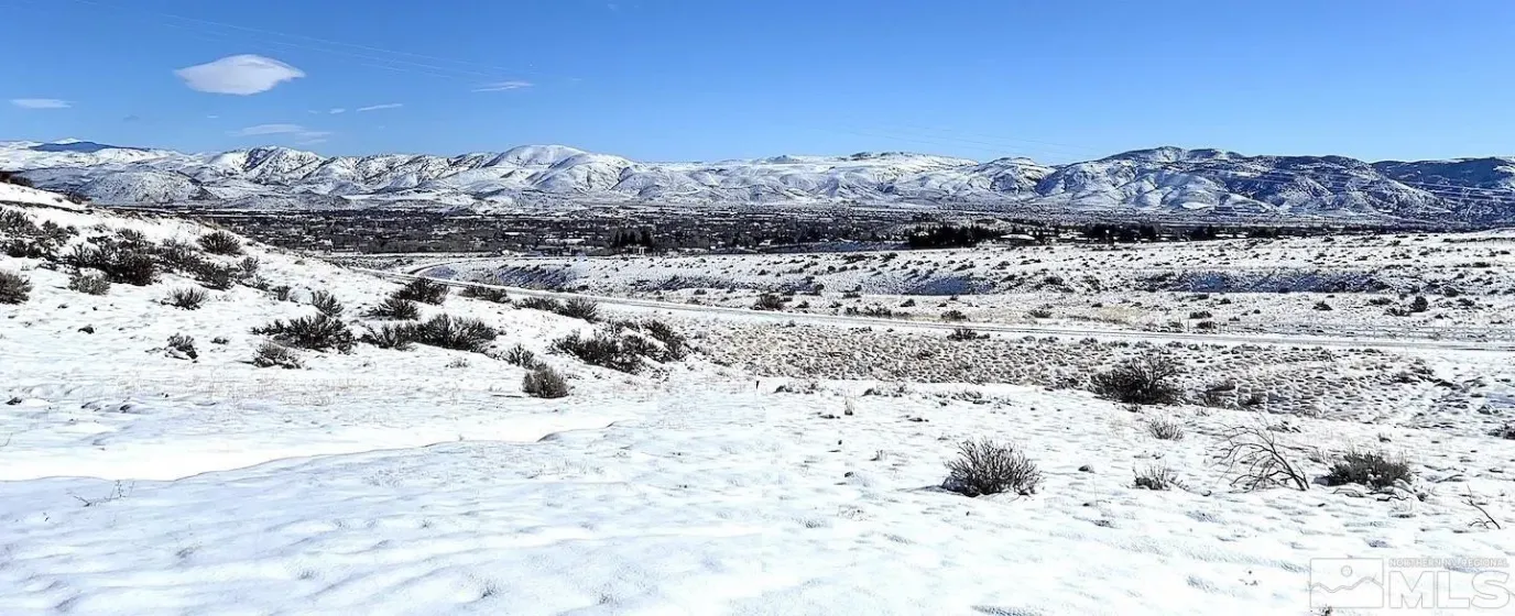 790 Schellbourne, Reno, Nevada 89511, ,Land,Residential,Schellbourne,250005429