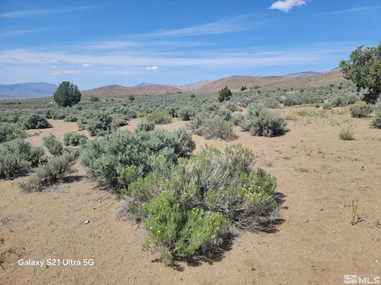 3615 Wild Horse, Reno, Nevada 89510, ,Land,Residential,Wild Horse,250005392