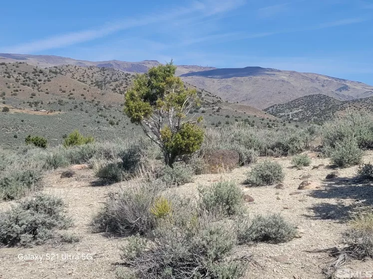 3615 Wild Horse, Reno, Nevada 89510, ,Land,Residential,Wild Horse,250005392