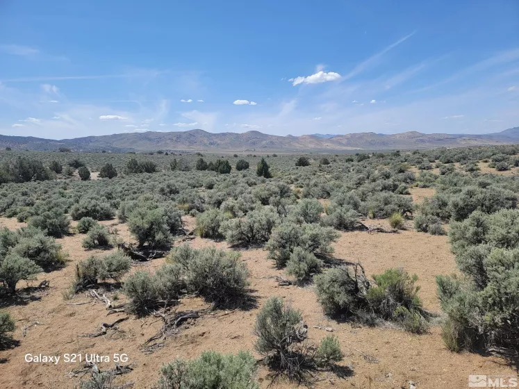 3615 Wild Horse, Reno, Nevada 89510, ,Land,Residential,Wild Horse,250005392