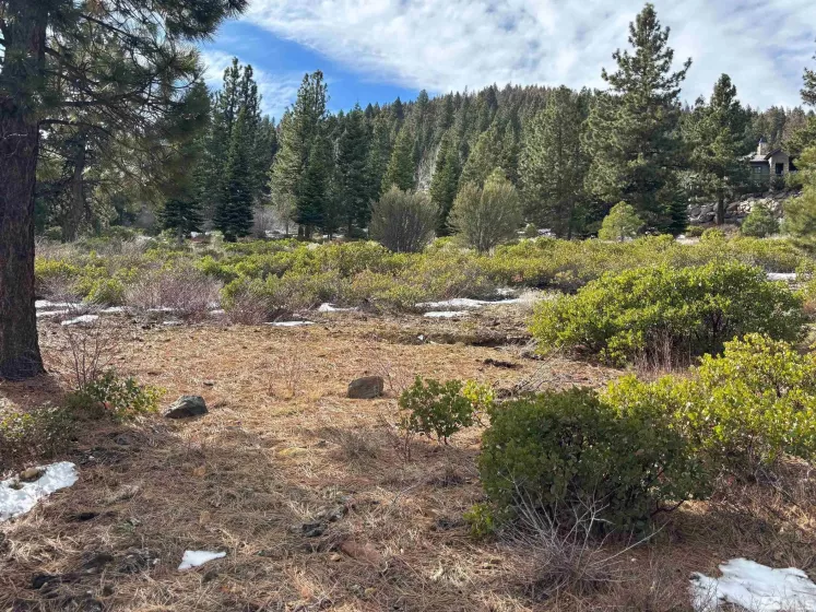 198 Big Sage, Reno, Nevada 89511, ,Land,Residential,Big Sage,250000938