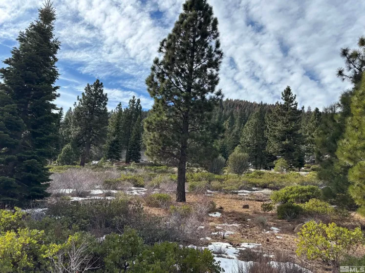 198 Big Sage, Reno, Nevada 89511, ,Land,Residential,Big Sage,250000938