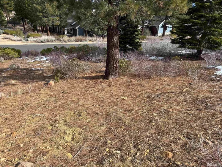 198 Big Sage, Reno, Nevada 89511, ,Land,Residential,Big Sage,250000938