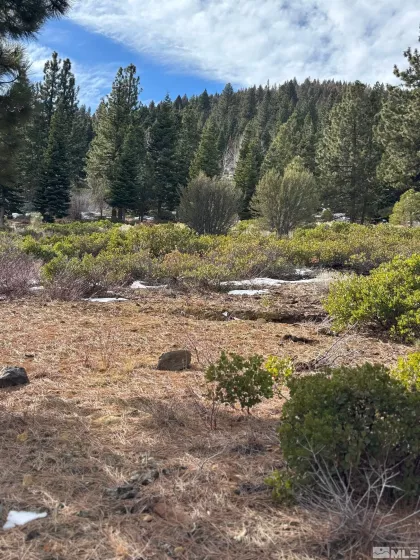 198 Big Sage, Reno, Nevada 89511, ,Land,Residential,Big Sage,250000938
