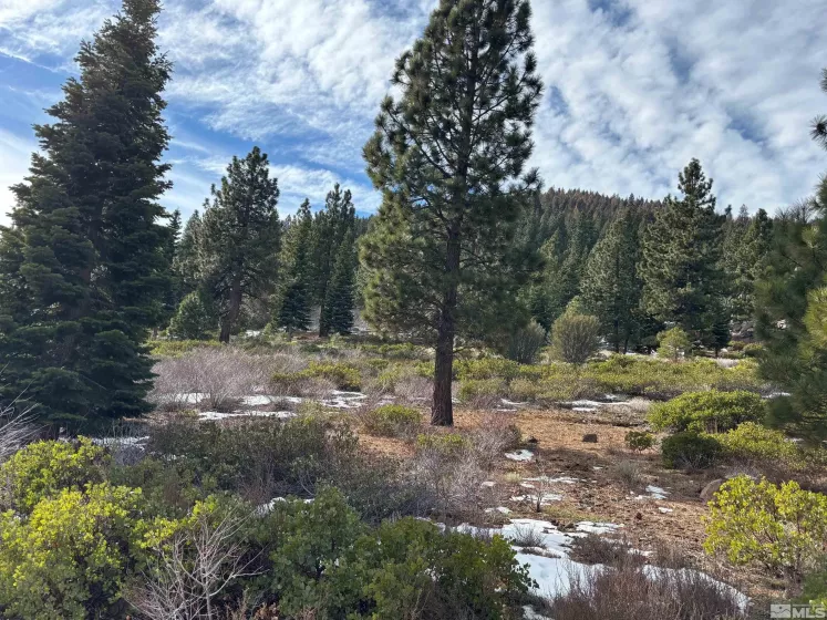 198 Big Sage, Reno, Nevada 89511, ,Land,Residential,Big Sage,250000938