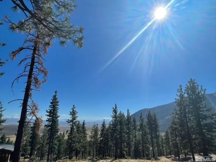 262 Swifts Station, Carson City, Nevada 89705, ,Land,Residential,Swifts Station,230003887