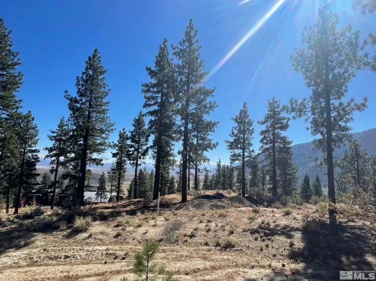 262 Swifts Station, Carson City, Nevada 89705, ,Land,Residential,Swifts Station,230003887