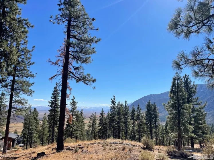 262 Swifts Station, Carson City, Nevada 89705, ,Land,Residential,Swifts Station,230003887