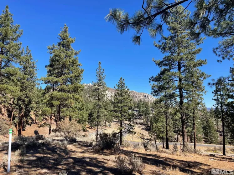 262 Swifts Station, Carson City, Nevada 89705, ,Land,Residential,Swifts Station,230003887