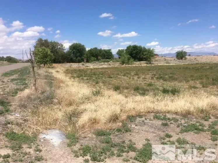1075 Browne, Fernley, Nevada 89408, ,Land,Residential,Browne,180007165