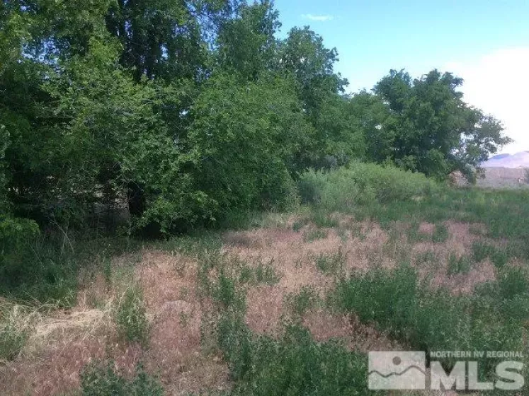 1075 Browne, Fernley, Nevada 89408, ,Land,Residential,Browne,180007165