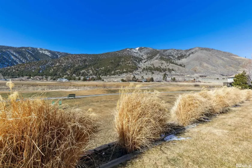 2544 Genoa Aspen, Genoa, Nevada 89411, 4 Bedrooms Bedrooms, ,4 BathroomsBathrooms,Residential,Residential,Genoa Aspen,250001196