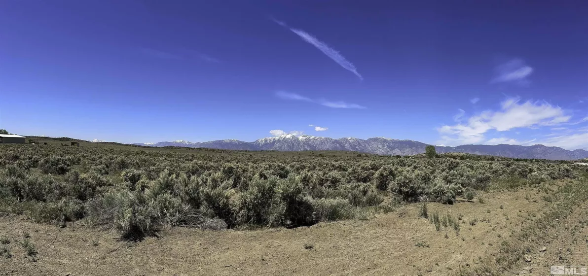 TBD Bray, Gardnerville, Nevada 89410, ,Land,Residential,Bray,240012787