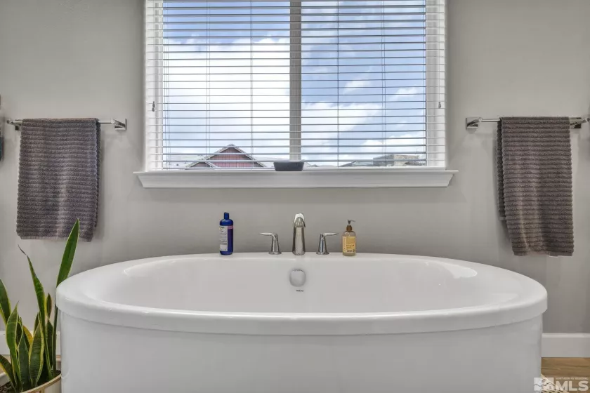 101 Scott, Verdi, Nevada 89439, 4 Bedrooms Bedrooms, ,4 BathroomsBathrooms,Residential,Residential,Scott,250004316