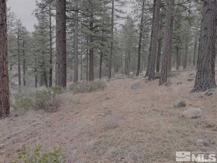 370 Abies, Reno, Nevada 89511, ,Land,Residential,Abies,250005847