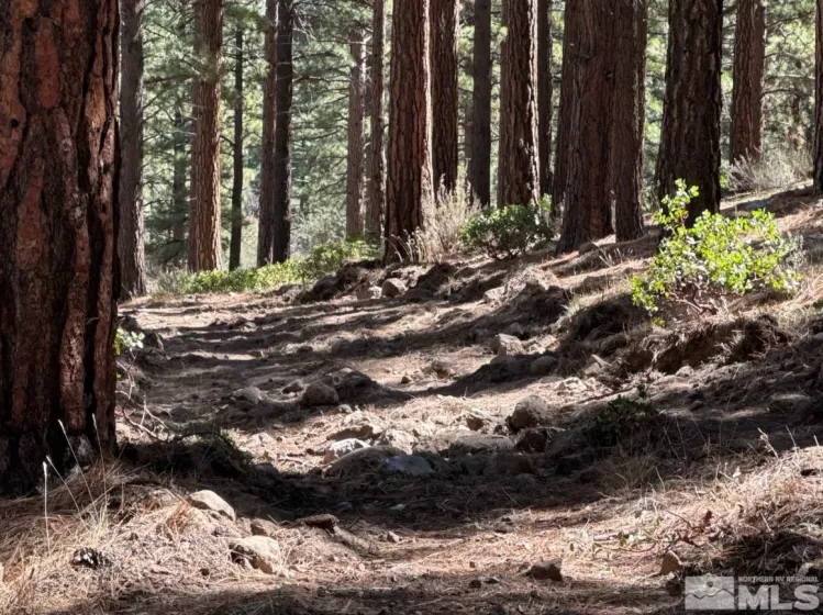 370 Abies, Reno, Nevada 89511, ,Land,Residential,Abies,250005847