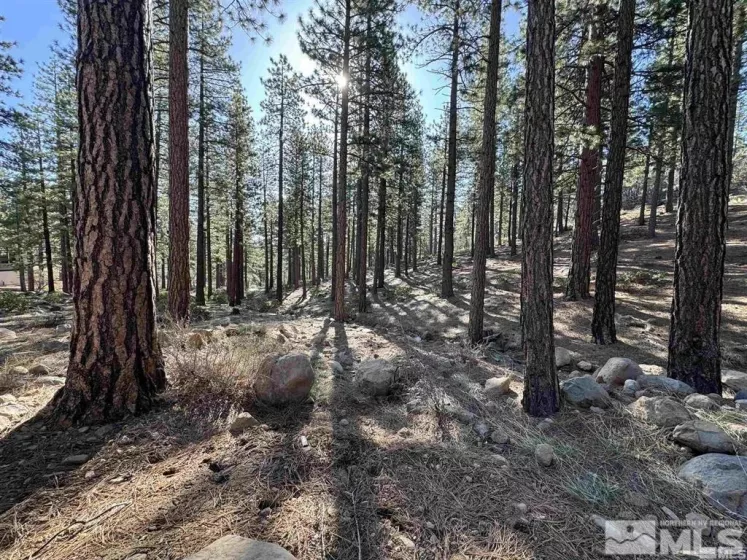 370 Abies, Reno, Nevada 89511, ,Land,Residential,Abies,250005847