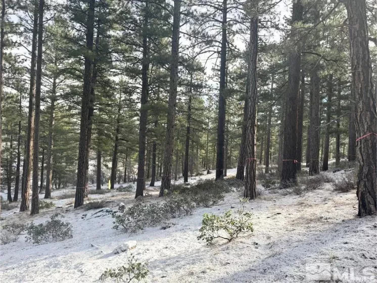 370 Abies, Reno, Nevada 89511, ,Land,Residential,Abies,250005847